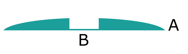 rapido standard